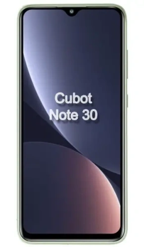 Ремонт Ремонт Cubot Note 30 в Сургуте