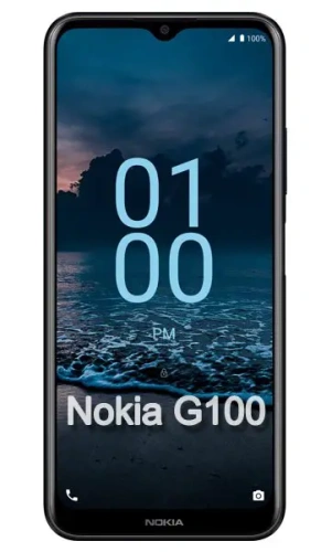 Фотография Ремонт Nokia G100 в Сургуте