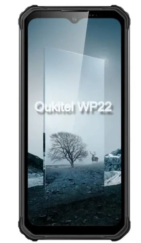 Ремонт Ремонт Oukitel WP22 в Сургуте