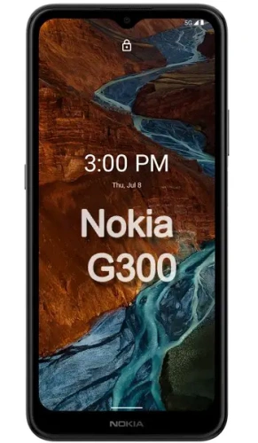 Фотография Ремонт Nokia G300 в Сургуте