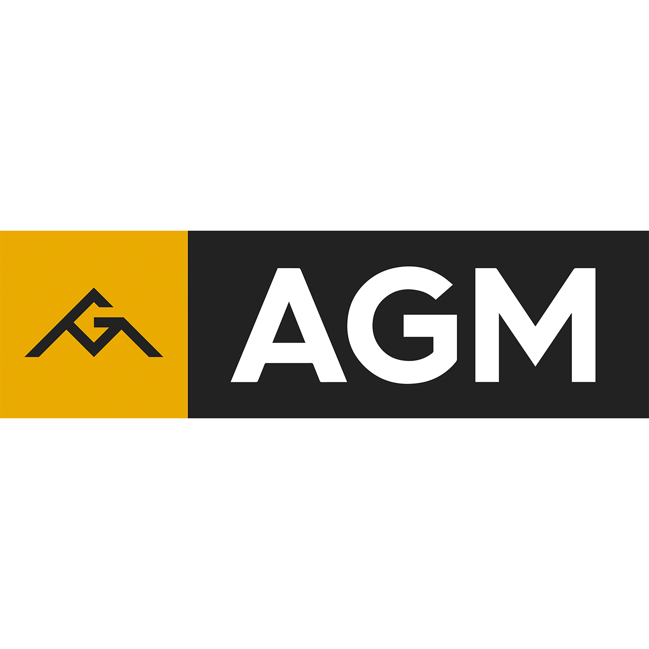 Ремонт телефонов AGM в Сургуте