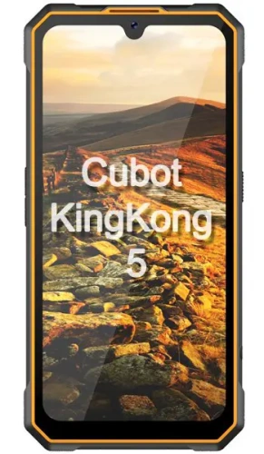 Ремонт Ремонт Cubot KingKong 5 в Сургуте
