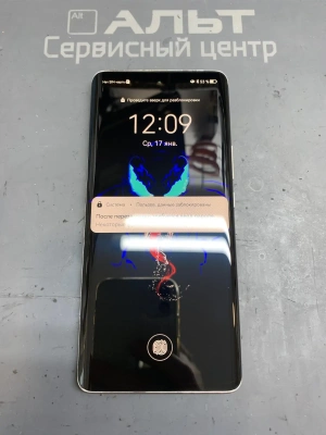 Фотография Ремонт Huawei nova 8 в Сургуте
